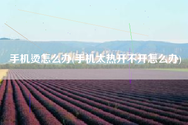 手机烫怎么办(手机太热开不开怎么办)