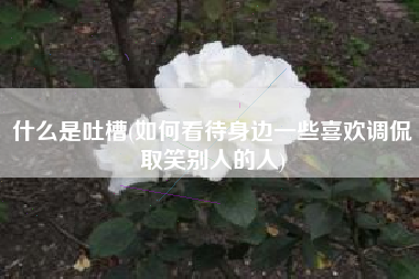 什么是吐槽(如何看待身边一些喜欢调侃取笑别人的人)
