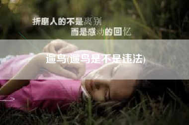 遛鸟(遛鸟是不是违法)