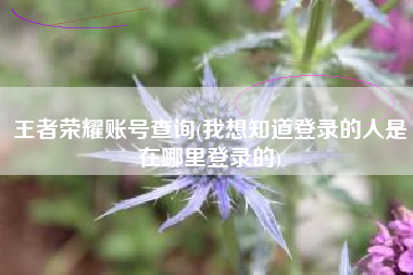 王者荣耀账号查询(我想知道登录的人是在哪里登录的)