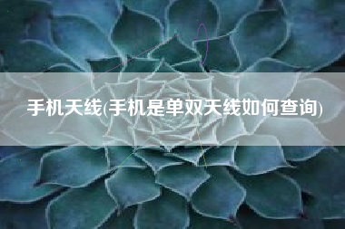 手机天线(手机是单双天线如何查询)