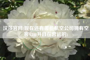汉莎官网(现在还有哪些航空公司拥有空客A340并且在营运的)