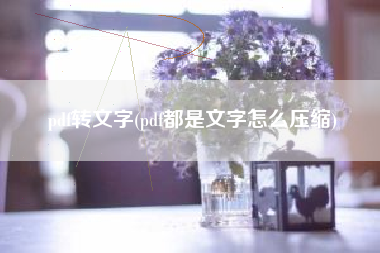 pdf转文字(pdf都是文字怎么压缩)