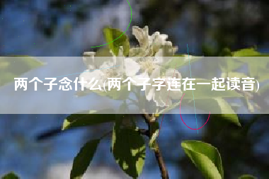 两个子念什么(两个子字连在一起读音)