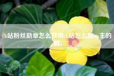 b站粉丝勋章怎么获得(b站怎么加up主的群)