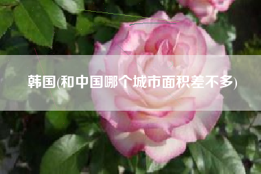 韩国(和中国哪个城市面积差不多)