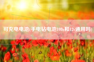 可充电电池(手电钻电池108v和12v通用吗)