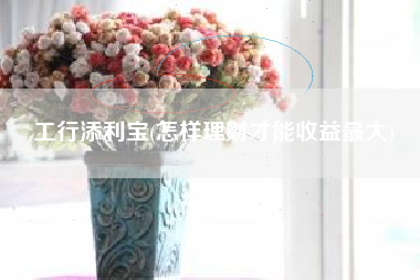 工行添利宝(怎样理财才能收益最大)