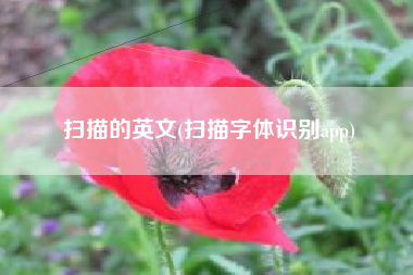 扫描的英文(扫描字体识别app)