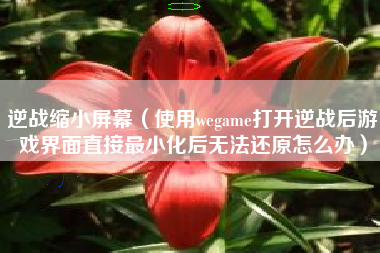 逆战缩小屏幕（使用wegame打开逆战后游戏界面直接最小化后无法还原怎么办）