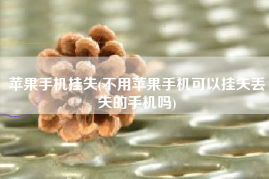 苹果手机挂失(不用苹果手机可以挂失丢失的手机吗)