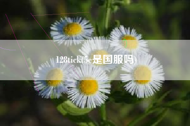 128tick(5e是国服吗)