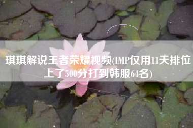 琪琪解说王者荣耀视频(IMP仅用11天排位上了500分打到韩服64名)