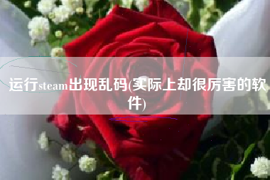 运行steam出现乱码(实际上却很厉害的软件)