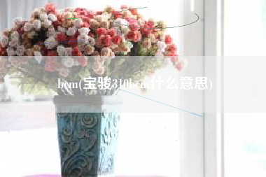 bcm(宝骏310bcm什么意思)
