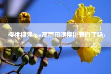 樱桃视频app(高雨田跟樱桃表白了吗)