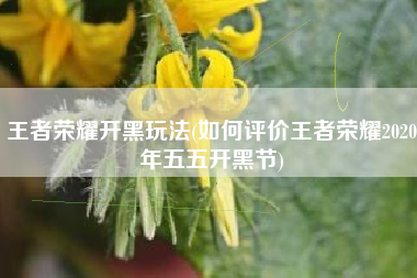 王者荣耀开黑玩法(如何评价王者荣耀2020年五五开黑节)