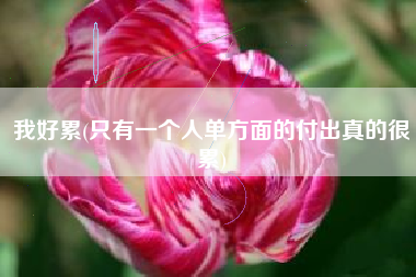 我好累(只有一个人单方面的付出真的很累)