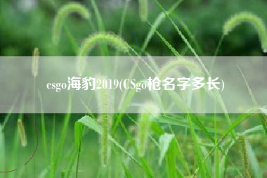 csgo海豹2019(CSgo枪名字多长)