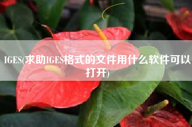 IGES(求助IGES格式的文件用什么软件可以打开)