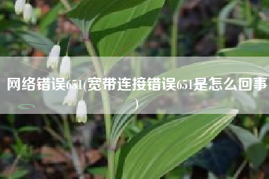 网络错误651(宽带连接错误651是怎么回事)