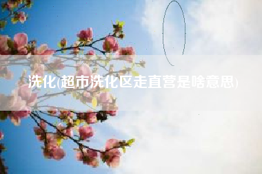 洗化(超市洗化区走直营是啥意思)