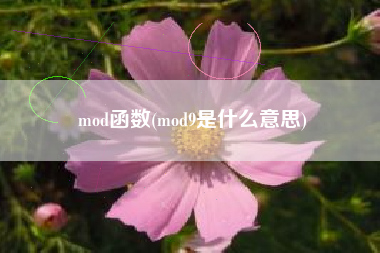 mod函数(mod9是什么意思)