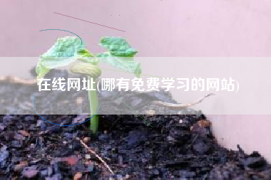 在线网址(哪有免费学习的网站)