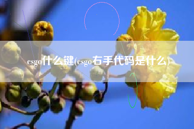 csgo什么键(csgo右手代码是什么)