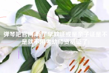 弹琴吧官网(有了早教证或是亲子证是不是就不用考幼师资格证了)