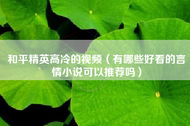 和平精英高冷的视频（有哪些好看的言情小说可以推荐吗）