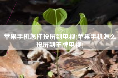 苹果手机怎样投屏到电视(苹果手机怎么投屏到王牌电视)