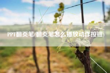 PPT翻页笔(翻页笔怎么播放动作按钮)