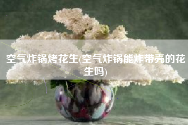 空气炸锅烤花生(空气炸锅能炸带壳的花生吗)