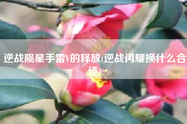 逆战陨星手雷V的释放(逆战闪耀换什么合适)