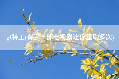 g4特工(有哪一部电视剧让你重刷多次)