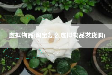 虚拟物品(淘宝怎么虚拟物品发货啊)