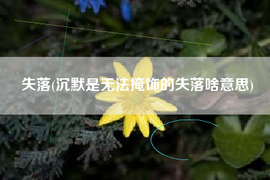 失落(沉默是无法掩饰的失落啥意思)
