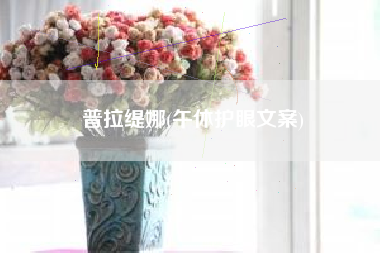 普拉缇娜(午休护眼文案)