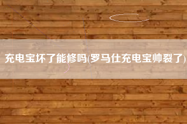 充电宝坏了能修吗(罗马仕充电宝帅裂了)