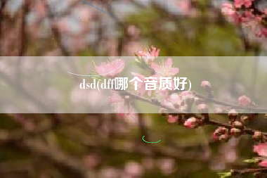 dsd(dff哪个音质好)