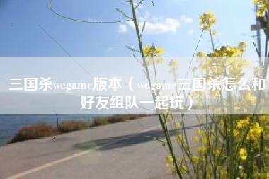 三国杀wegame版本（wegame三国杀怎么和好友组队一起玩）