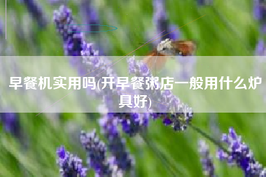 早餐机实用吗(开早餐粥店一般用什么炉具好)