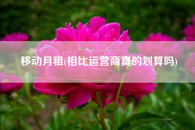 移动月租(相比运营商真的划算吗)