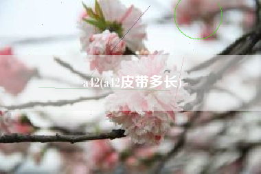a42(a42皮带多长)