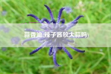 蒜香油(辣子酱放大蒜吗)