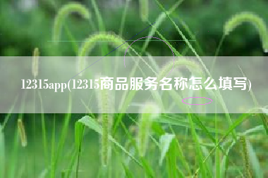 12315app(12315商品服务名称怎么填写)