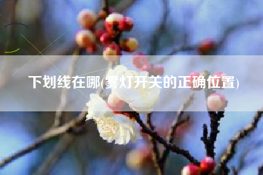 下划线在哪(雾灯开关的正确位置)