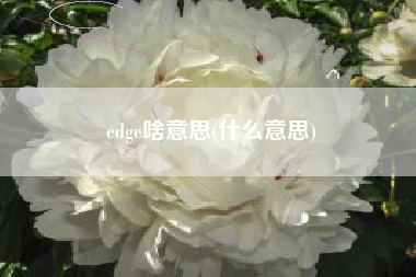 edge啥意思(什么意思)