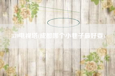 339电视塔(成都哪个小巷子最好耍)